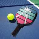 Big Crazy Pickleball Paddle Cover, Pickleball Paddle Case, Pickleball Paddle Covers for Paddle Protect, Bear Flamingo Pickleball Cover with Zipper, Pickleball Gift (Blue)