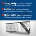 HAVAHART 1079SR Large 1-Door Humane Catch and Release Live Animal Trap Cage - Live Raccoon Trap, for Bobcats, Beavers, Dogs, & More