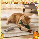 Leitee 12 Pack Cat Toys Bulk Plush Cat Mice Fish Toys Set Mouse Dog Toy for Indoor Kittens Puppies to Eliminate Boredom, Multicolored, Not Filled Catnip(Plush Fish)