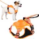 Retractable No-Pull Dog Harness, Auto-Stop Rope for Safety Use, Adjustable Reflective Oxford Easy Control,for 15-33 LBS Medium/Large Dogs Use(Orange)