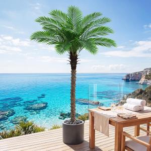 6FT Artificial Phoenix Palm Tree for Outdoors, UV Resistant Fake Coconut Silk Palm, Large Faux Tropical Tree for Outside Patio Poolside Home Office Indoor Decor, Black Pot Included