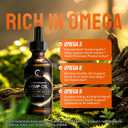 GPGP GreenPeople 3 Pack Natural Hemp Oil Extract, Immune System Support, Support Focus and Energy, and Support Nighttime Activities, Pure Extract, Rich in Omega 3&6&9 Fatty Acids (1 Fl Oz (Pack of 3))