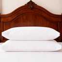 Thick Bed Pillows Queen Size Set of 2 Hotel Collection Soft Down Alternative Supportive Pillow for Back Stomach Side Sleeper White 20x30 inches