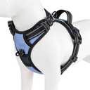 PHOEPET No Pull Dog Harness Reflective Adjustable with 2 Metal Leash Hooks and Soft Training Handle [Over The Head Design](S, Baby Blue)