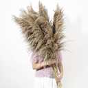 9 Stems Pampas Grass Decor Tall 48''/4 FT, Long Fluffy Dried Pompas Grass, Large Pampas Grass for Floor Vase, Rustic Wedding, Baby Shower, Party, Farmhouse, Boho Home Decor