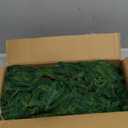 Hananona 9 Ft 2 Pcs Artificial Norfolk Pine Garlands, Realistic Pine Garland, Green Artificial Greenery Garland for Table, Mantle, Wall, Indoor, Outdoor Winter Christmas Decorations (2, 9 FT)