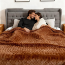 Heated Blanket Queen, 84"x90" Electric Heating with Dual Controllers,Machine Washable Blanket,12 Heat Levels & 12 Hours Auto Off, Soft Warm Flannel Blanket, Overheat Protection with ETL & FCC