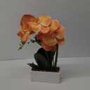Artificial Real Touch Orchid Flowers in Pot Fake Phalaenopsis Flower with White Ceramic Vase Faux Orchids Arrangement for Home Table Office Wedding Party Decoration (Orange) (A-orange)