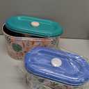 Decorative Metal Storage Tins with Lids, 2 Pack Floral and Bird Pattern Containers, Small 8.8x4.9x4.7 inch and Large 9.8x5.9x5.7 inch (Birds)