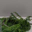 Artificial Real Touch Deluxe Norfolk Pine Garland Christmas Garland for Mantle Garland Greenery Christmas Garlands 106''(1pcs)