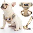 PUPTECK Soft Mesh Dog Harness and Leash Set Pet Puppy Cat Comfort Padded Vest No Pull Harnesses, Beige, M