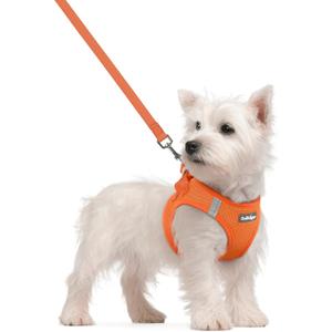 rabbitgoo Dog Harness Small Sized and Leash Set, Step in Soft Light Puppy Vest, Breathable Mesh Pet Harness, Reflective for Safe Easy Walking, Orange S