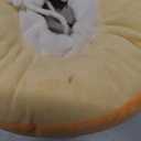 ANWA Adjustable Cat Cone Collar Soft, Cute Cat Donut Collar After Surgery, Kitten Recovery Cones to Stop Licking