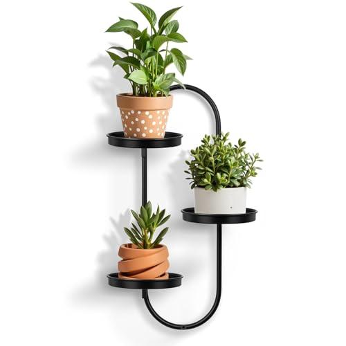 Zononoca Wall Plant Holder Indoor, Wall Planters for Indoor Plants, Window Plant Shelves for Indoor Plants, Plants Hanger Indoor, Black