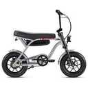 Schwinn Hurricane 14" E-Bike