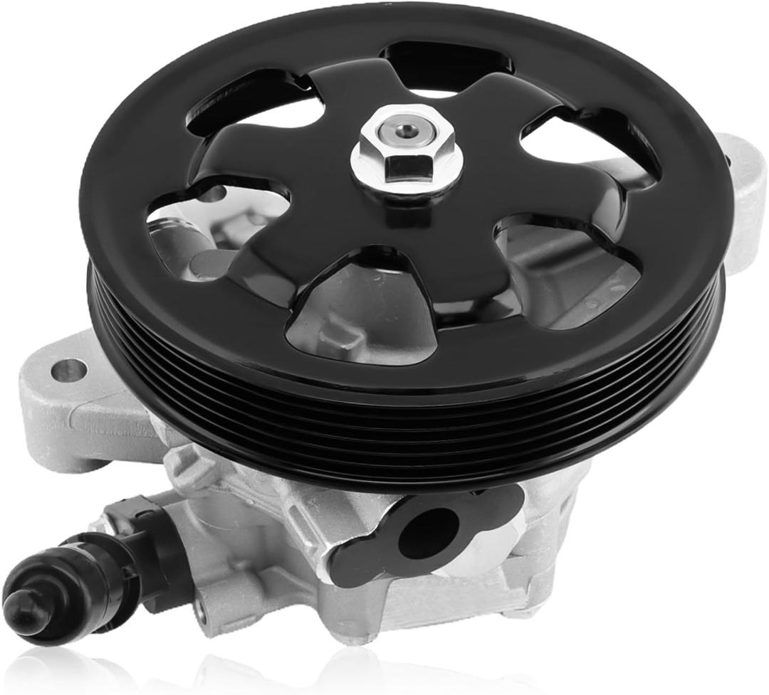 96-665 Power Steering Pump Fit for 2011-2017 Odyssey 3.5L V6, 2012-2015 Pilot 3.5L V6, 2012-2014 Ridgeline 3.5L V6, Power Assist Pump with Pulley Replacement for 21-534