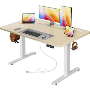 47 X 24 Inch Electric Standing Desk with Power Outlets and USB-C Port, Height Adjustable Desk, Sit Stand Desk for Home Office, Computer & Gaming Desk with 3 Presets, Stable Steel Frame, Marple