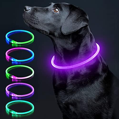 Colaseeme LED Dog Collar Light Up Dog Collars 1 Count USB Rechargeable TPU Glow Safety Basic Dog Collars for Large Medium Small Dogs (Purple)