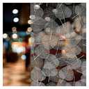 BDF 4WHLV Decorative Window Film White Leaves - 24in X 7ft