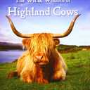 Wit & Wisdom Of Highland Cows, Paperback