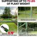 Garden Arch Trellis for Climbing Plants Outdoor, 7 Ft Tall Cucumber Trellis for Raised Bed, Metal Archway Arbor Trellis Support for Vegetables Beans Squash Peas Grape Vines Flowers