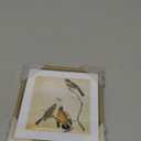 5x5 Picture Frame, Brass Metal Photo Frames with HD Glass, Fits 4x4 with Mat or 5 x 5 without Mat, Display for Wall and Table, 1 Pack