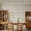 Vintage Glass Pendant Light, Adjustable Cord Hanging Light Fixture