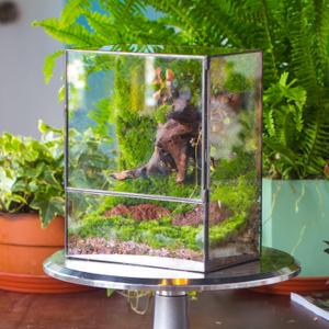 NCYP Close Glass Terrarium with Door - 7.8 x 5.1 x 9.8 Inches Geometric Landscape Clear Planter for Small Tropical Plants - Indoor Tabletop Centerpiece, Garden Decor (Terrarium Only)