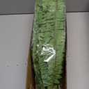 Dkaltm Single Silky Artificial Boston Fern Bush, 49Inch Large Artificial Ferns for Outdoors, Large Faux Ferns Artificial Plants,Suitable for Decorating Office, Living Room Faux Greenery,95Branches