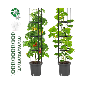 2 Pack Raised Garden Bed Tomato Planter with Trellis, Self Watering Planter Box with Trellis for Climbing Plants Outdoor, PE Coated Metal Tomato Cage Plant Support for Flowers Vegetable Indoor