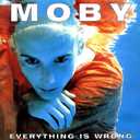 Everything Is Wrong, Vinyl