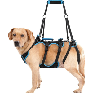 Lafoty Dog Lift Harness for Large Male Dogs, 2in1, Back Leg Support & Mobility Assistance for Senior Dogs, PostSurgery Recovery Sling(Black, Large)