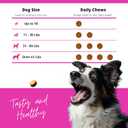 Hip & Joint Supplement for Dogs  Glucosamine, Chondroitin, MSM, Turmeric & Hemp Oil  Natural Mobility & Pain Relief Soft Chews  Beef Flavor  90 Count  Made in USA