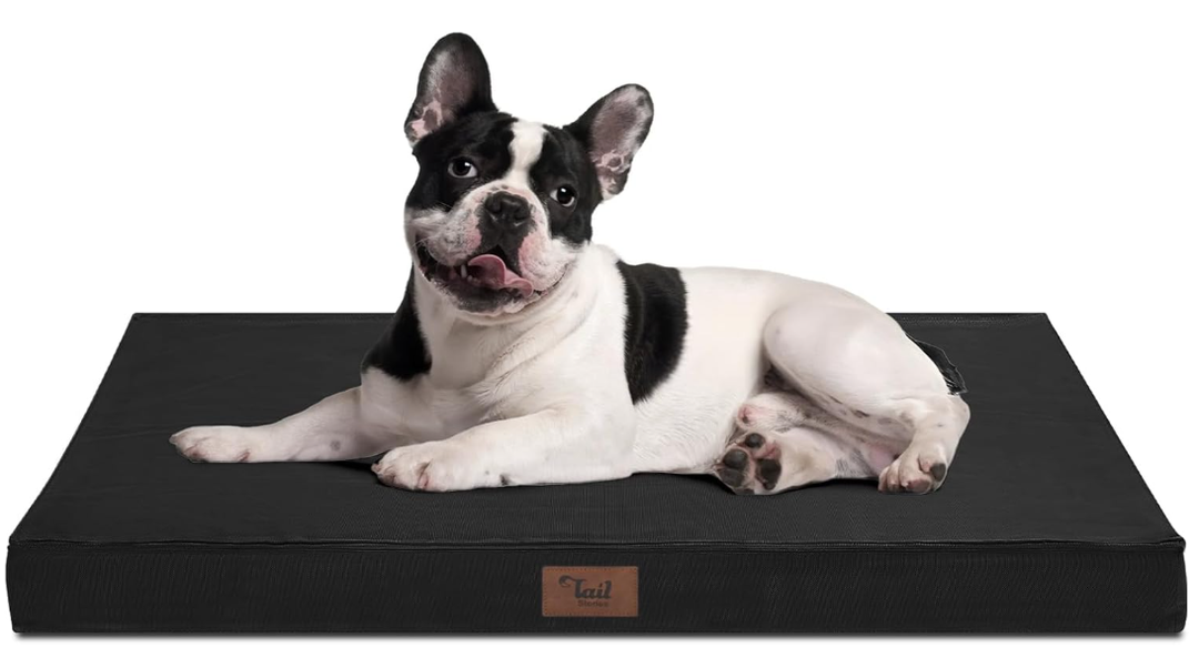 Outdoor Dog Bed for Medium Dogs, Waterproof Dog Bed for Medium Dogs Cats, Orthopedic Egg Crate Foam Pet Bed with Washable and Removable Oxford Cover, Black, 30.0"L x 20.0"W x 3.0"Th 