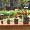 homenote Clear Nursery Pots for Plants,3/4/5/6.7 Inch Plant Pot for Planting Plastic Seedling Pots with Drainage Holes Seed Starter Pot Flower Pots High Transparency with 20 Plant Labels (36 Pack)