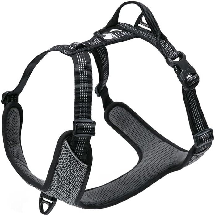 TRUE LOVE Dog Harness Outdoor Adventure II Reflective Vest with 2 Leash Attachments Matching Leash and Collar Available TLH6071 Black
