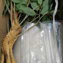 6ft Large Ficus Artificial Trees in White Pot, 72" Tall Fake Silk Tree with Natural Curved Trunk, Lush Faux Ficus Tree for Indoor Home Decor, Living Room, Office & Patio (Green)