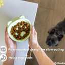 Ceramic Slow Feeder Bowl, Elevated CAT & Dog Slow Feeder, Wide-Mouth, PAW Design, Stylish Design, for Fast Eaters, Non Slip, Pets, Small & Medium Sized Breeds, (Green)
