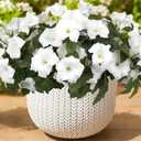 Artificial Flowers for Outdoors, Faux Petunias Spring Summer Decoration, Fake Flowers Plants UV Resistant Look Real Silk Flowers for Outside Planter Front Door Porch Patio Yard (6, White)