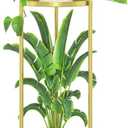iDavosic.ly 2 Tier Corner Plant Stand Indoor, Tall Vertical Metal Flower Heavy Duty Pot Holder Shelf Outdoor for Patio Porch Living Room, Gold - Round