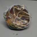 Forum Novelties girls Hawaiian Hula Dancer Coconut Bra Party Supplies, Brown, One Size US