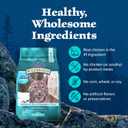 Blue Buffalo Wilderness Natural Hairball Care Dry Cat Food for Indoor Cats, High-Protein & Grain-Free Formula, Chicken, 5-lb. Bag (EXP 02/20/27)