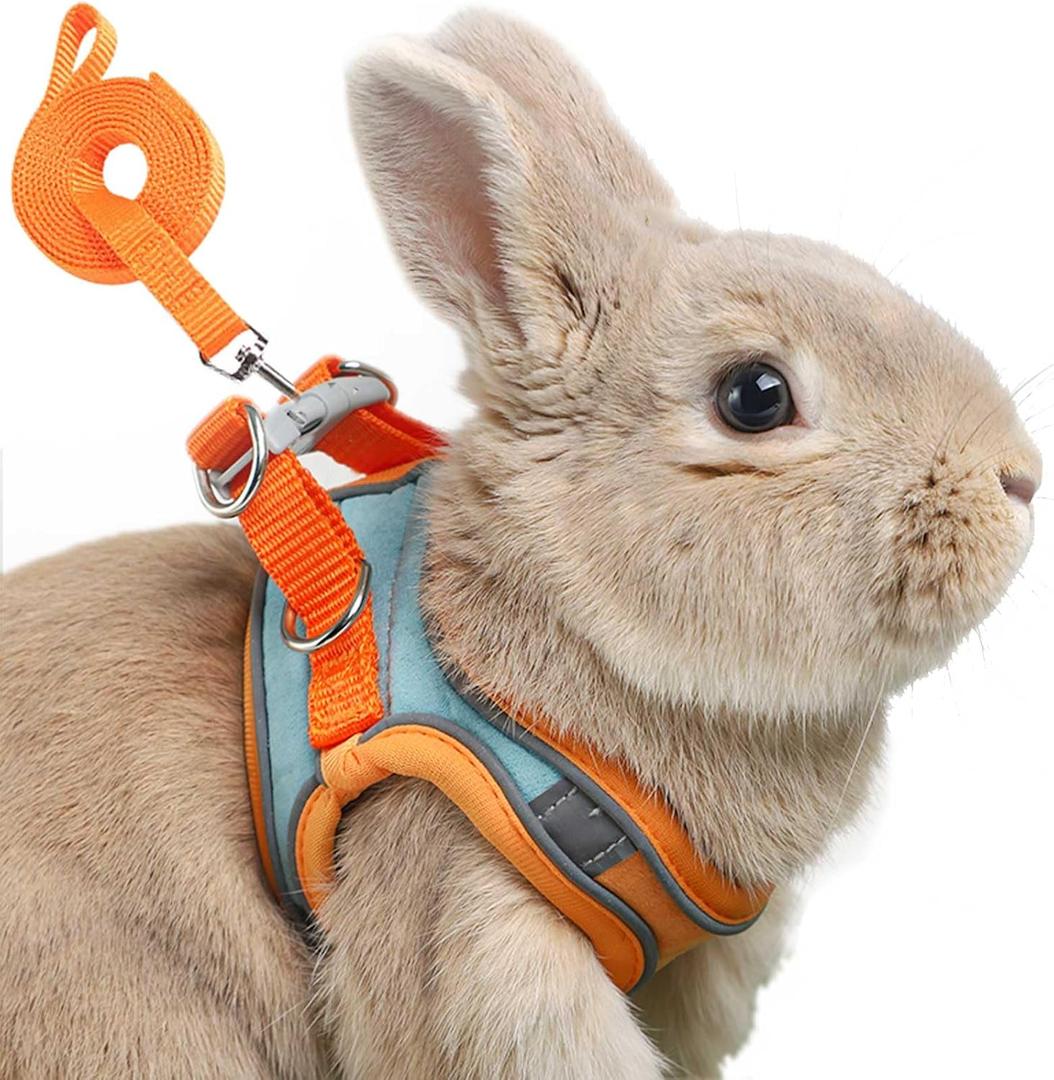 Adjustable Bunny Harness and Leash Set Double Buckle with Reflective Strips Rabbit Vest Pets Stuff Suitable for Rabbit Walks Accessories (Orange Green, S) Adjustable Bunny Harness and Leash Set Double Buckle with Reflective Strips Rabbit Vest Pets Stuff Suitable for Rabbit Walks Accessories (Orange Green, S)