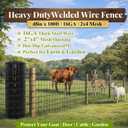 Gisafai 48in x 100ft Welded Wire Fence, 2 Inch x 4 Inch 16 GA, Galvanized Metal Garden Fence Roll Wire Mesh Netting for Goat Deer Cattle Animal Enclosures and Yard Vegetable Plant Protection, Black