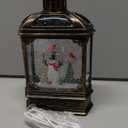 Musical Lighted Snow Globe with Snowman & Cardinal, 6H Timer, USB&Battery Operated, Clear Plastic Classic Snow Globe for Christmas Decoration and Gifts