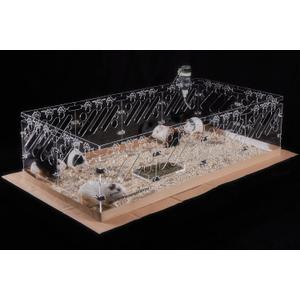 Acrylic Guinea Pig Cages - 4x2ft Small Animal Cage | DIY Extendable | Easy-to-Clean Disposable Bottom (Without Lid)