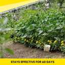 Squirrel Repellent Outdoor Pouches, Natural Squirrel Deterrent Outdoor, Ground Squirrel Repellent for Attic, Chipmunk Deterrent, Long-Lasting Squirrel Away for Plants & Cars-8P