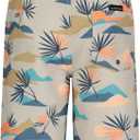 Quiksilver Boys' Boardshorts with UPF 50+ Sun Protection, Quick Dry Swim Shorts (16, Silver Slow Daze)