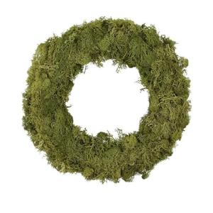 Natural Preserved Moss Wreath for Front Door or Wall, Green, Handmade 16 inch