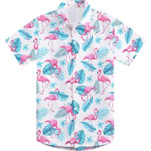 2-10T Boys Novelty Hawaiian Short Sleeve Button Down Dress Shirt (A0-flamingo 01)